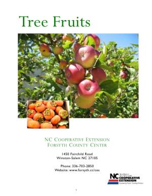 Producing Fruit Trees for Home