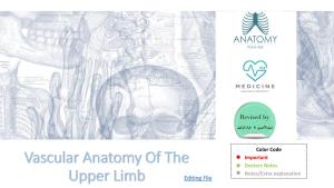Vascular Anatomy of the Upper Limb