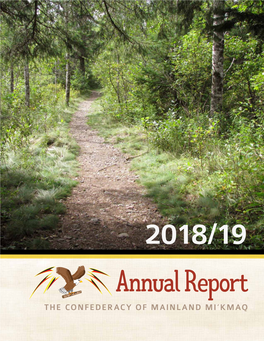 CMM Annual Report 2018-2019