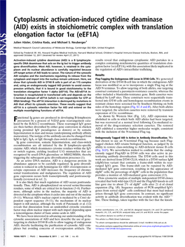 Cytoplasmic Activation-Induced Cytidine Deaminase (AID) Exists in Stoichiometric Complex with Translation Elongation Factor 1Α (Eef1a)