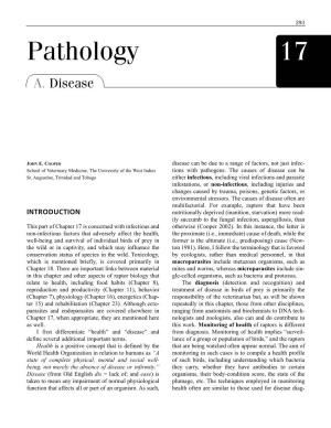 Pathology 17 A