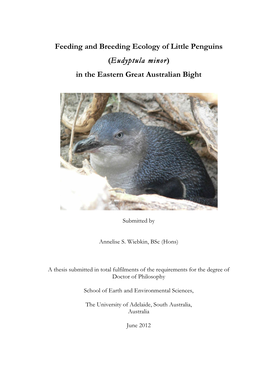 Feeding and Breeding Ecology of Little Penguins (Eudyptula Minor)