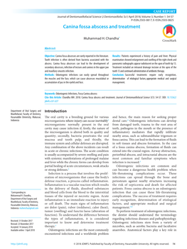 Canina Fossa Abscess and Treatment 8