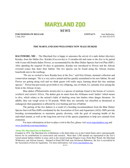 THE MARYLAND ZOO WELCOMES NEW MALE DUIKER BALTIMORE, MD – the Maryland Zoo Is Happy to Announce the Arrival of a Male Duiker