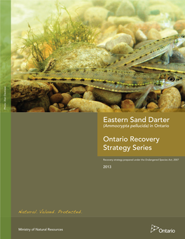 Recovery Strategy for the Eastern Sand Darter (Ammocrypta Pellucida) in Ontario