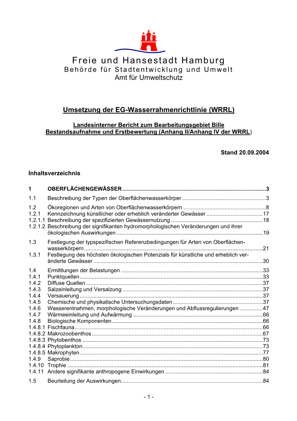 20.09.2004 Landesinterner Bericht Bille