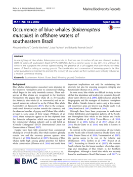 Balaenoptera Musculus) in Offshore Waters of Southeastern Brazil Alessandra Rocha1*, Camila Marchetto1, Luiza Pacheco2 and Eduardo Resende Secchi3