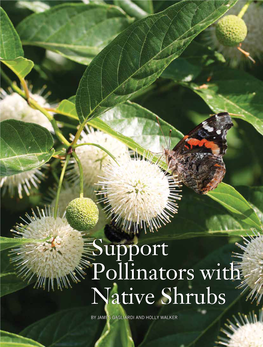Native Shrubs for Pollinators