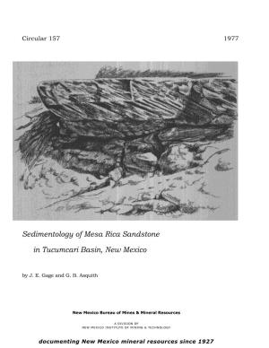 Sedimentology of Mesa Rica Sandstone in Tucumcari Basin, New Mexico