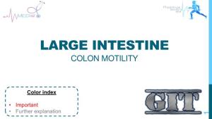 6-Physiology of Large Intestine.Pdf