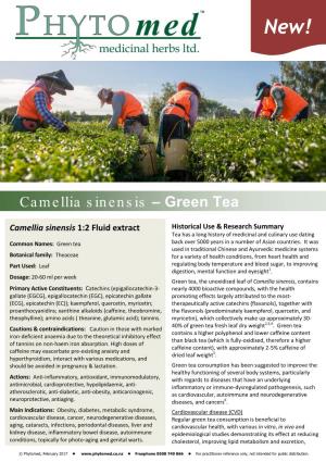 Camellia Sinensis – Green Tea