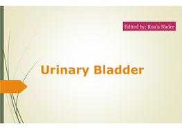 Urinary Bladder Urinary Bladder the Urinary Bladder Is a Hollow Viscus with Strong Muscular Walls Which Acts As a Reservoir for Urine