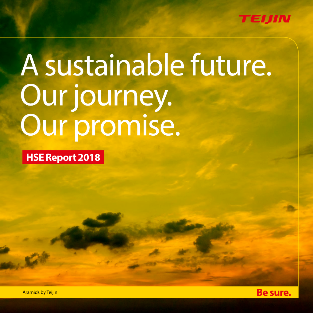 A Sustainable Future. Our Journey. Our Promise. HSE Report 2018