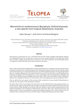 Macromitrium Erythrocomum (Bryophyta: Orthotrichaceae), a New Species from Tropical Queensland, Australia