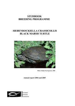 Studbook/Breeding Programme Black Marsh Turtle – Siebenrockiella Crassicollis