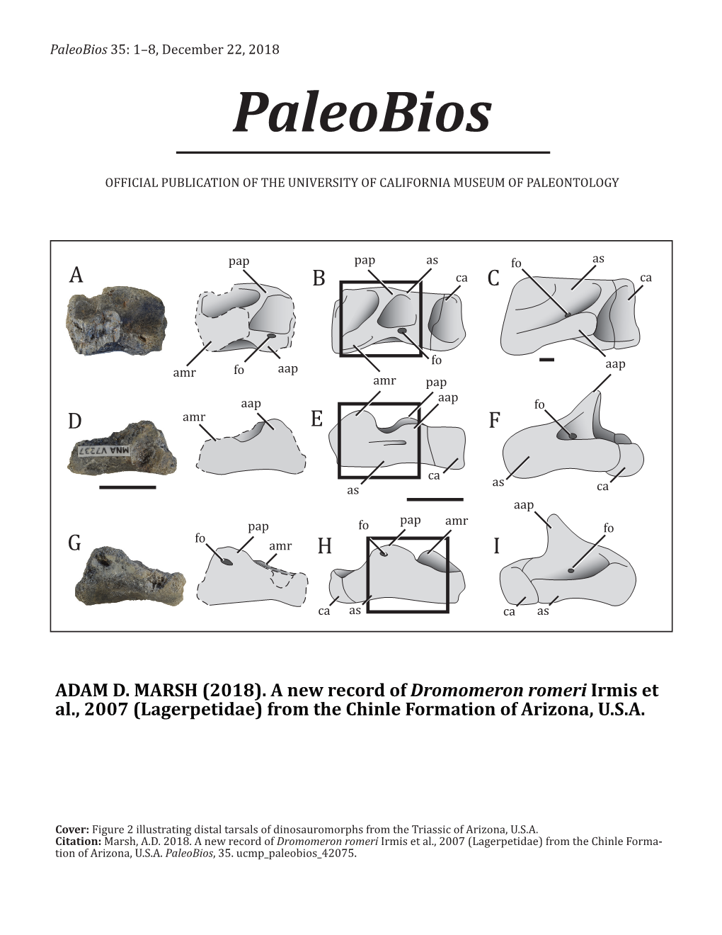 Paleobios 35: 1–8, December 22, 2018 Paleobios