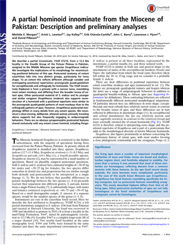 A Partial Hominoid Innominate from the Miocene of Pakistan: Description and Preliminary Analyses