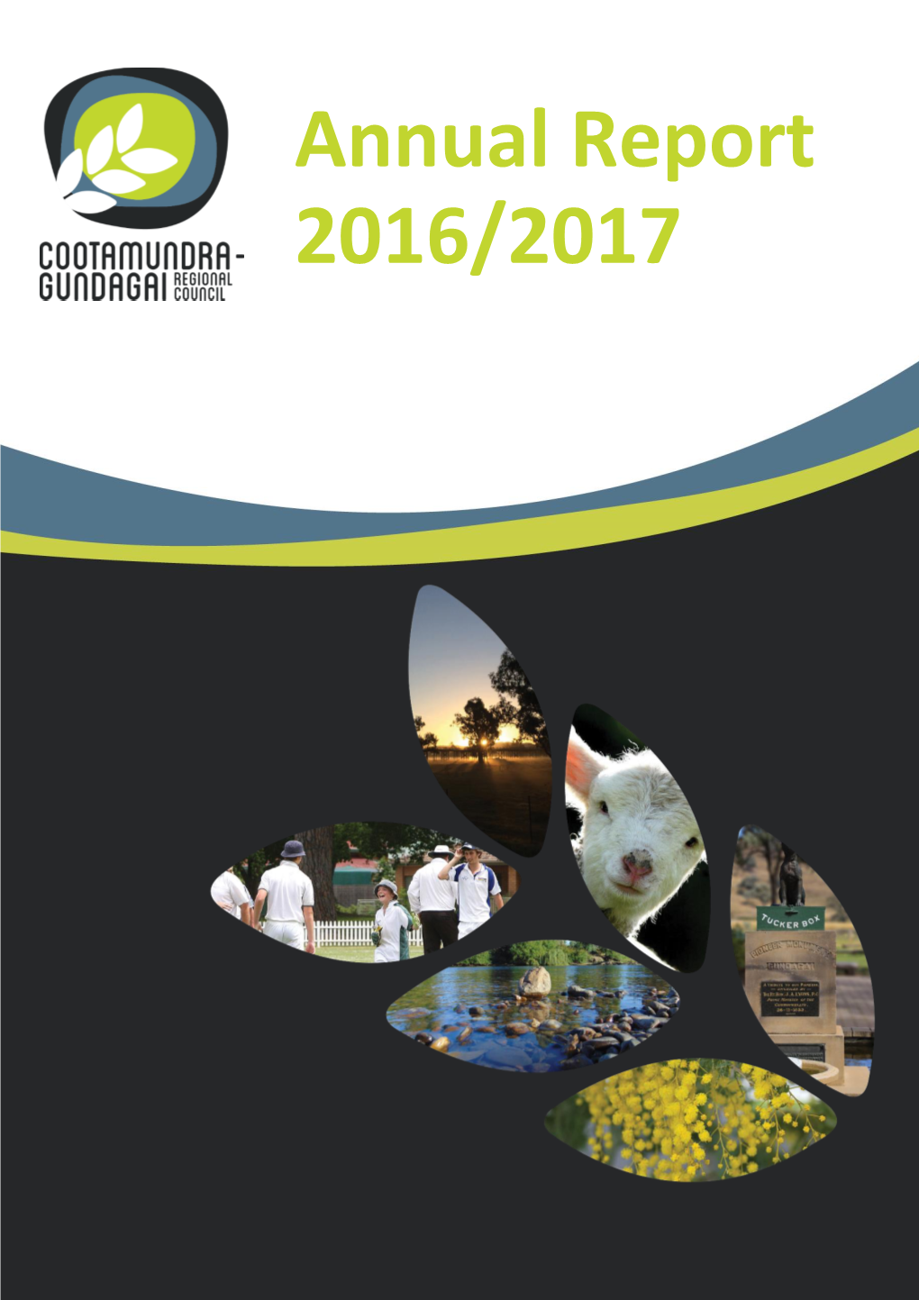 Annual Report 2016/2017