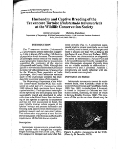 Husbandry and Captive Breeding Ofthe Travancore Tortoise (Indotestudo Travancorica) at the Wildlife Conservation Society