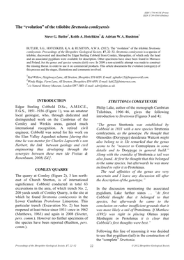 The “Evolution” of the Trilobite Strettonia Comleyensis