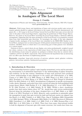 Spin Alignment in Analogues of the Local Sheet George J