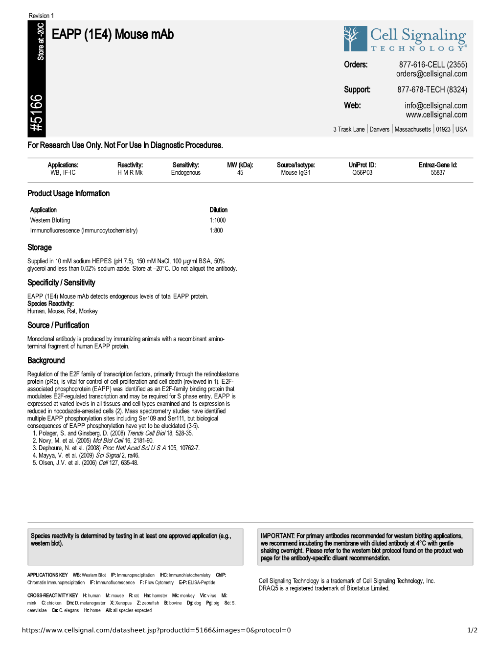 EAPP (1E4) Mouse Mab A