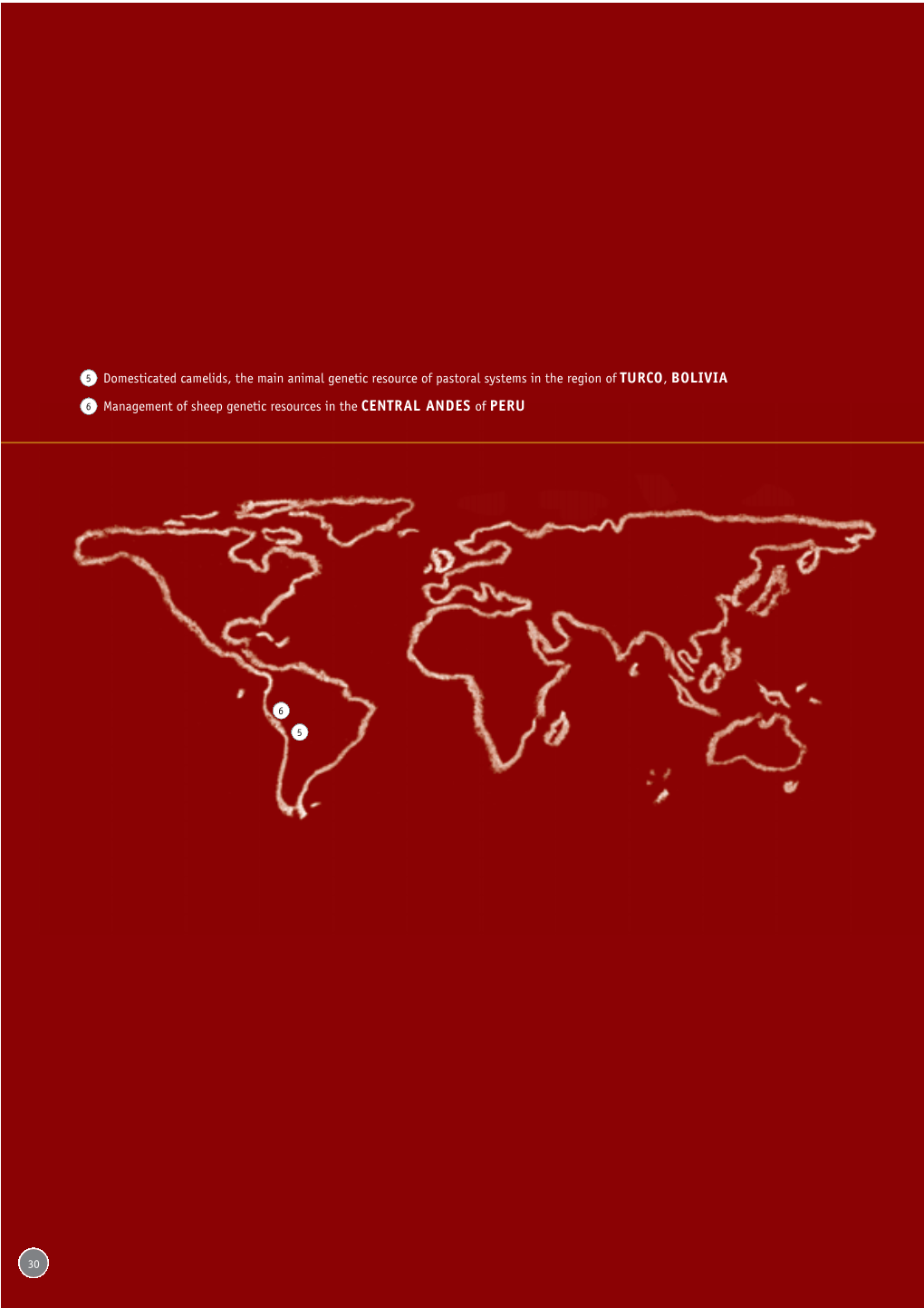 Domesticated Camelids, the Main Animal Genetic Resource of Pastoral Systems in the Region of TURCO, BOLIVIA Management of Sheep