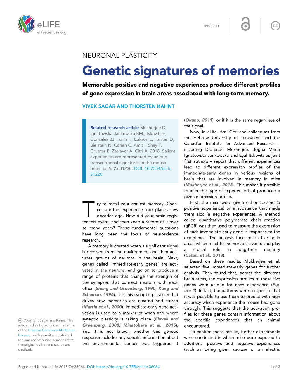 Genetic Signatures of Memories