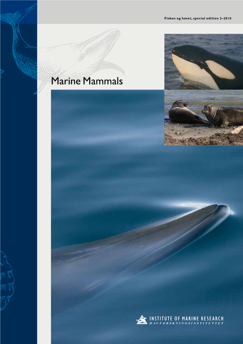 Marine Mammals