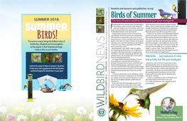 Birds of Summer SUMMER 2018 the Best of Warm Weather Bird Feeding in Your Backyard!