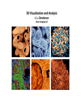 3D Visualization and Analysis J