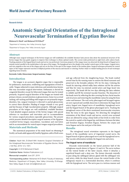 Anatomic Surgical Orientation of the Intraglossal Neurovascular
