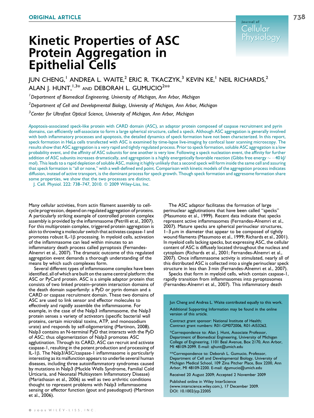 Kinetic Properties of ASC Protein Aggregation in Epithelial Cells
