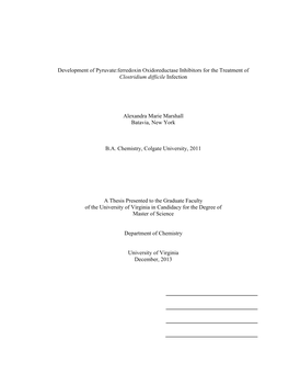 Development of Pyruvate:Ferredoxin Oxidoreductase Inhibitors for the Treatment of Clostridium Difficile Infection