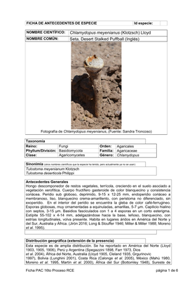 Chlamydopus Meyenianus (Klotzsch) Lloyd NOMBRE COMÚN: Seta, Desert Stalked Puffball (Inglés)