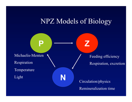 NPZ Models of Biology