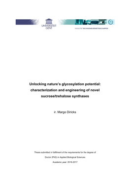 Characterization and Engineering of Novel Sucrose/Trehalose Synthases