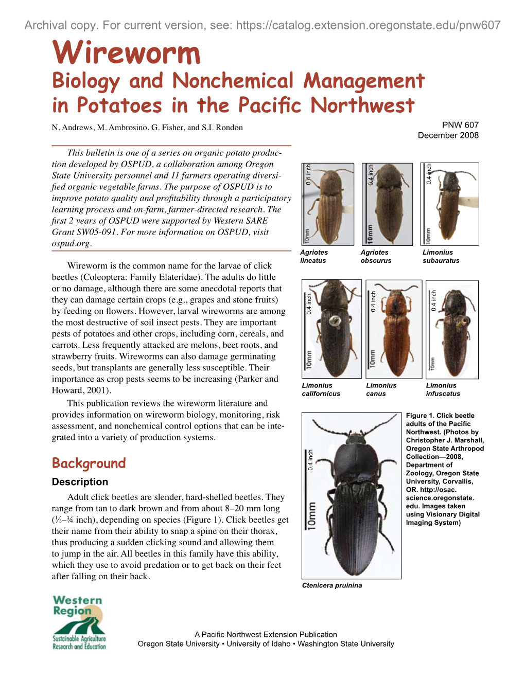 Wireworm Biology and Nonchemical Management in Potatoes in the Pacific Northwest N