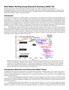 Dark Matter Working Group Executive Summary (Ness '02)