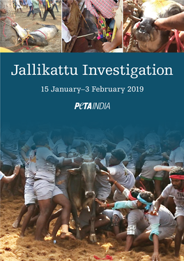 Jallikattu Investigation 15 January–3 February 2019