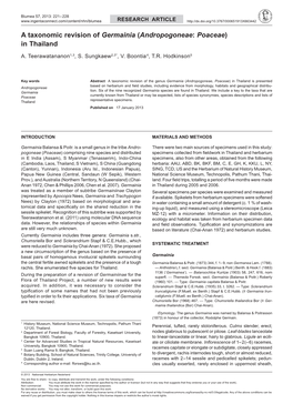 A Taxonomic Revision of Germainia (Andropogoneae: Poaceae) in Thailand