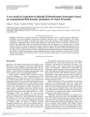 A New Model of Respiration in Blastoid (Echinodermata) Hydrospires Based on Computational ﬂuid Dynamic Simulations of Virtual 3D Models