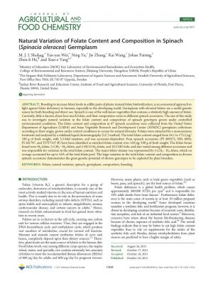 Natural Variation of Folate Content and Composition in Spinach (Spinacia Oleracea) Germplasm † † † † † ‡ M
