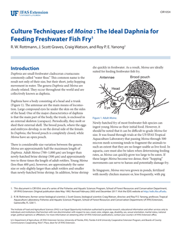 Culture Techniques of Moina : the Ideal Daphnia for Feeding Freshwater Fish Fry1 R