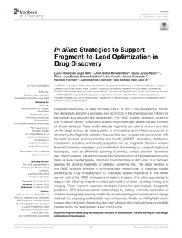 In Silico Strategies to Support Fragment-To-Lead Optimization in Drug Discovery