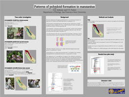 Patterns of Polyploid Formation in Manzanitas