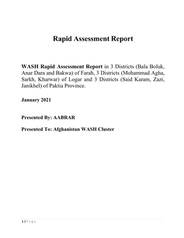 Rapid Assessment Report