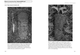 Wetland Types in New Zealand Mineral Substrates