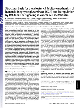 (KGA) and Its Regulation by Raf-Mek-Erk Signaling in Cancer Cell Metabolism