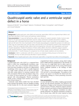 Quadricuspid Aortic Valve and a Ventricular Septal Defect in a Horse
